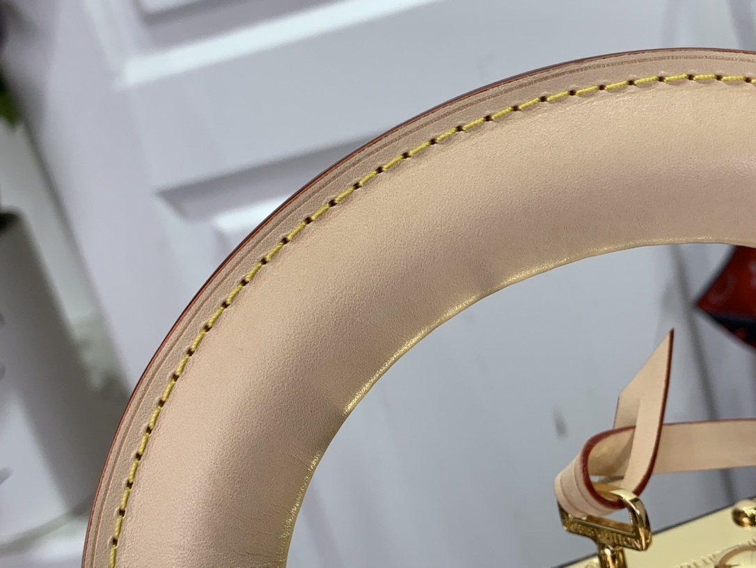 LV Jewelry box M20076 