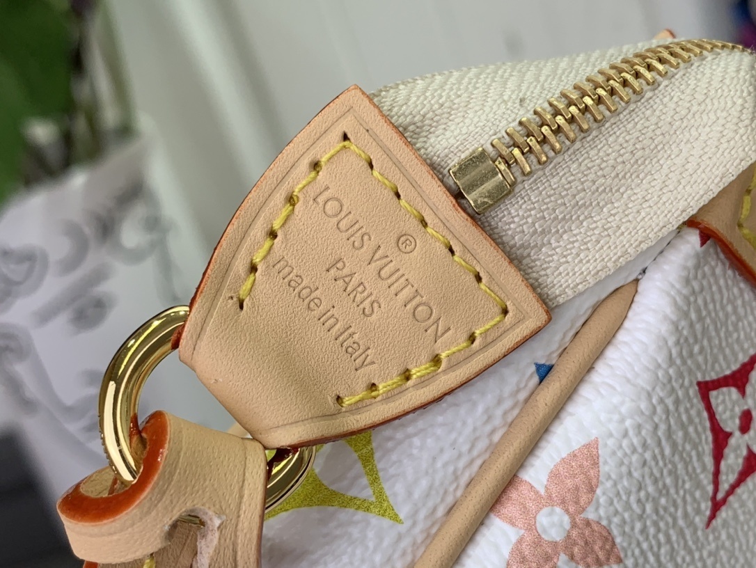 LV LV x TM POCHETTE ACCESSOIRES  m13663 