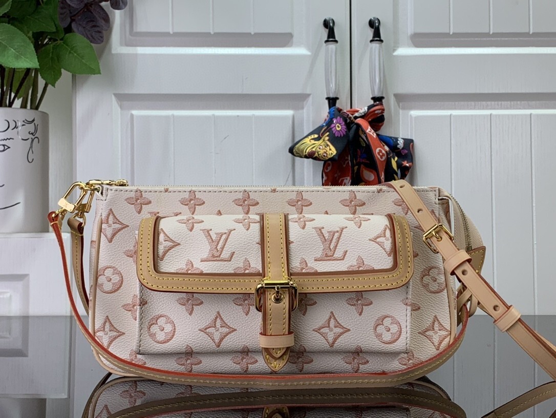 LV MAXI MULTI POCHETTE ACCESSOIRES M20920