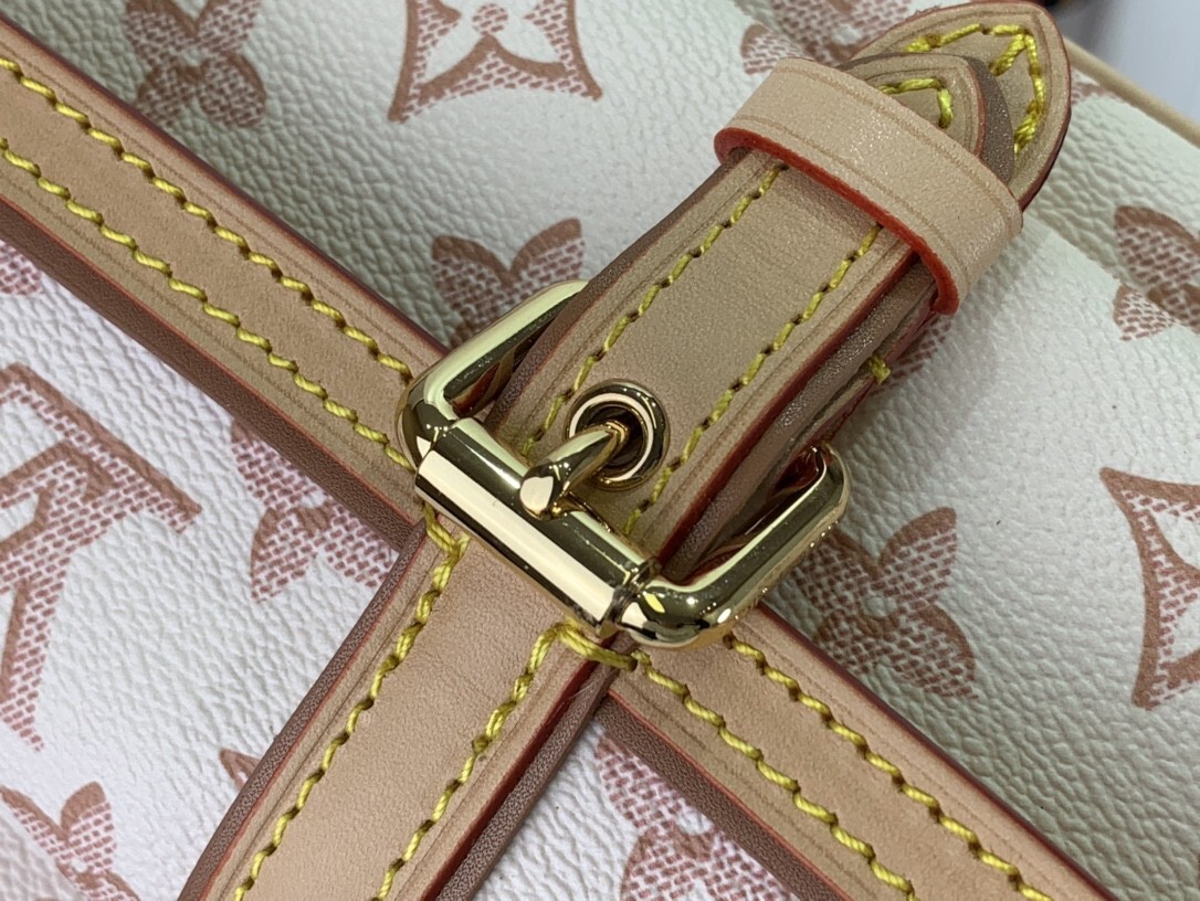 LV MAXI MULTI POCHETTE ACCESSOIRES M20920