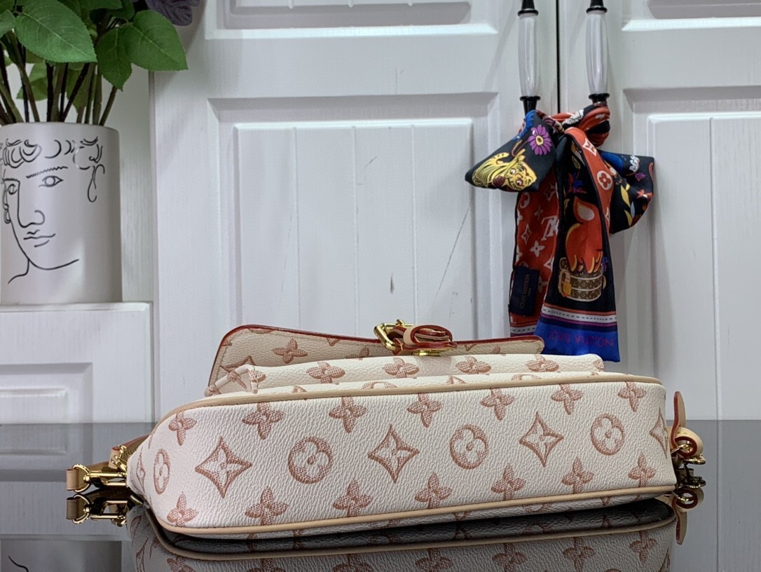 LV MAXI MULTI POCHETTE ACCESSOIRES M20920