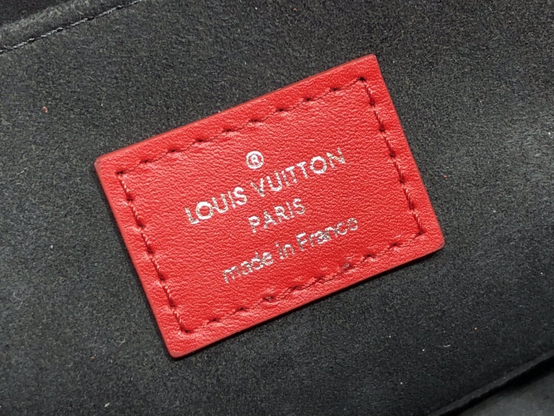 LV MINI DAUPHINE M20359B