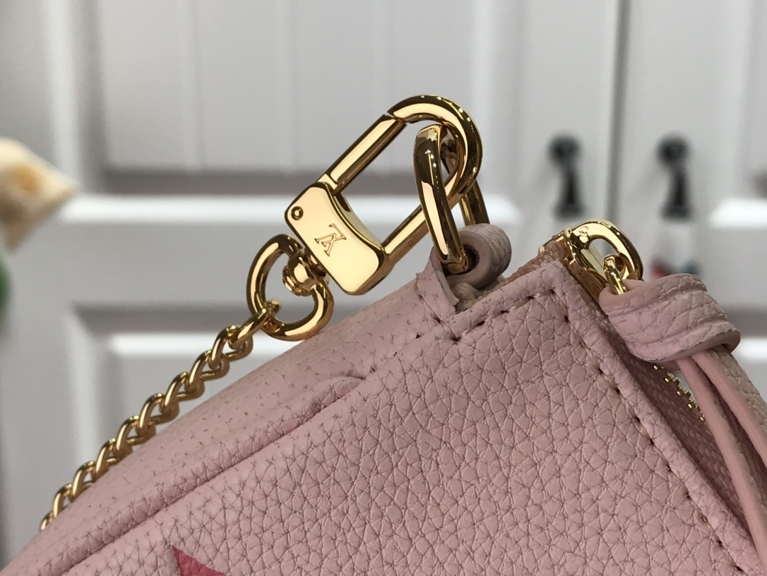 LV MINI POCHETTE ACCESSOIRES M80501