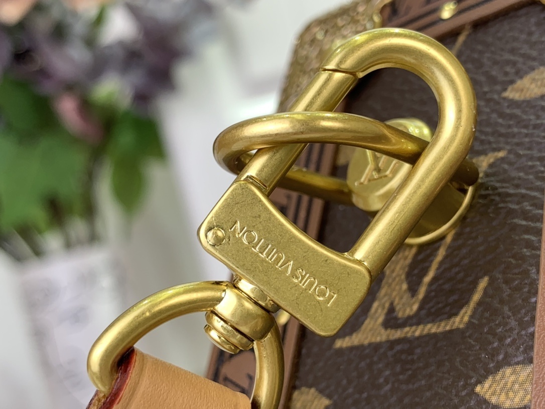 LV MONTSOURIS TRUNK m15166