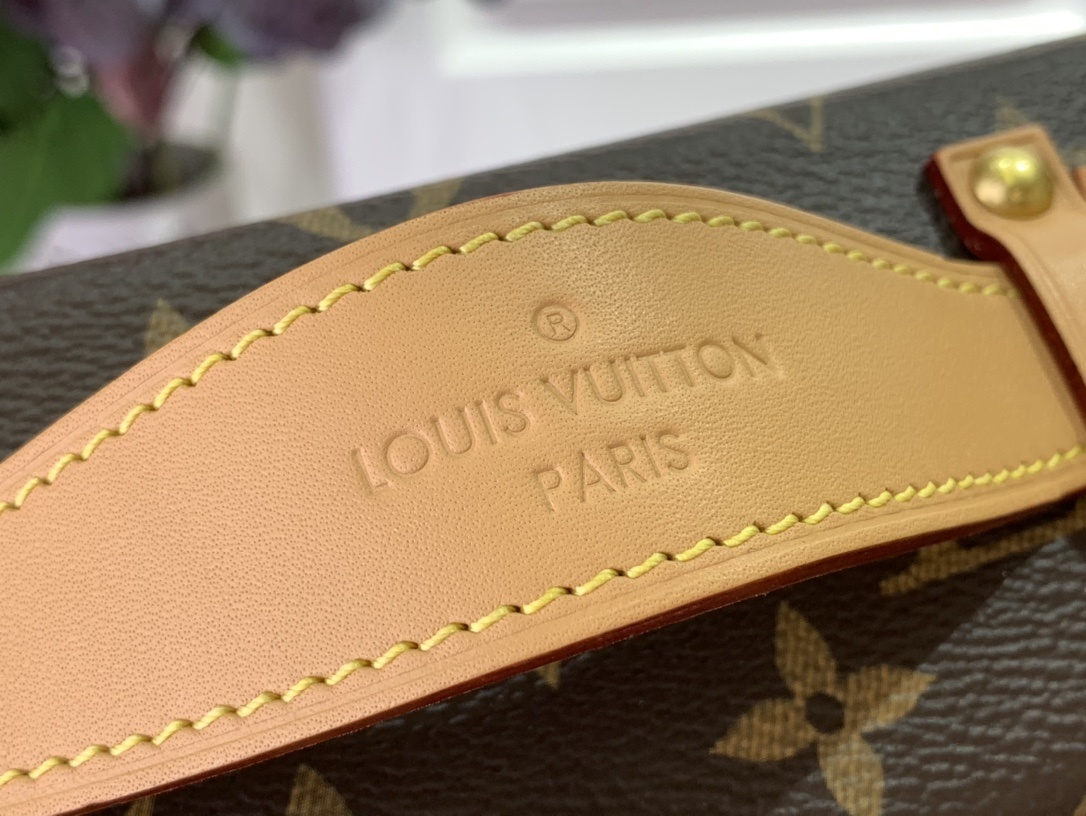 LV MONTSOURIS TRUNK m15166