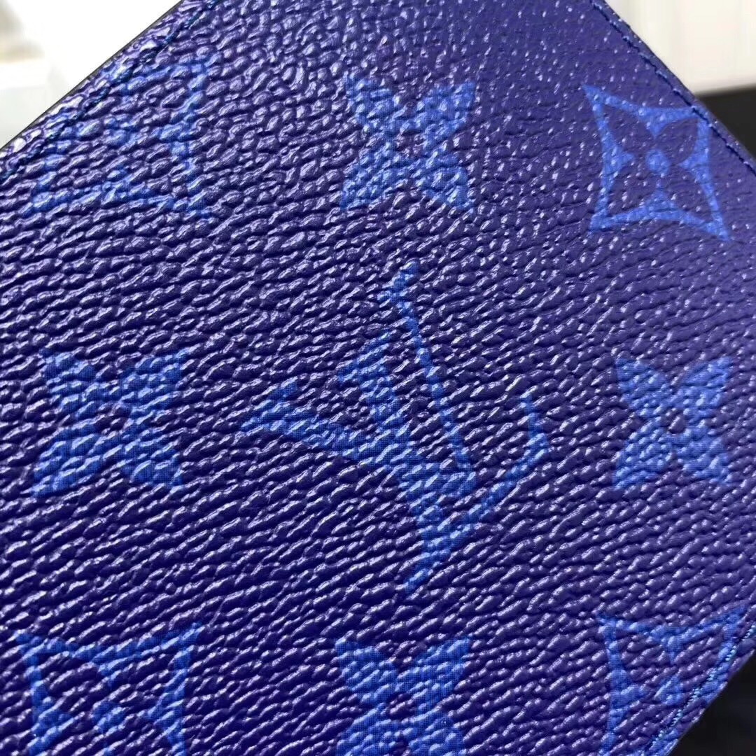 LV MULTIPLE wallet M30299 