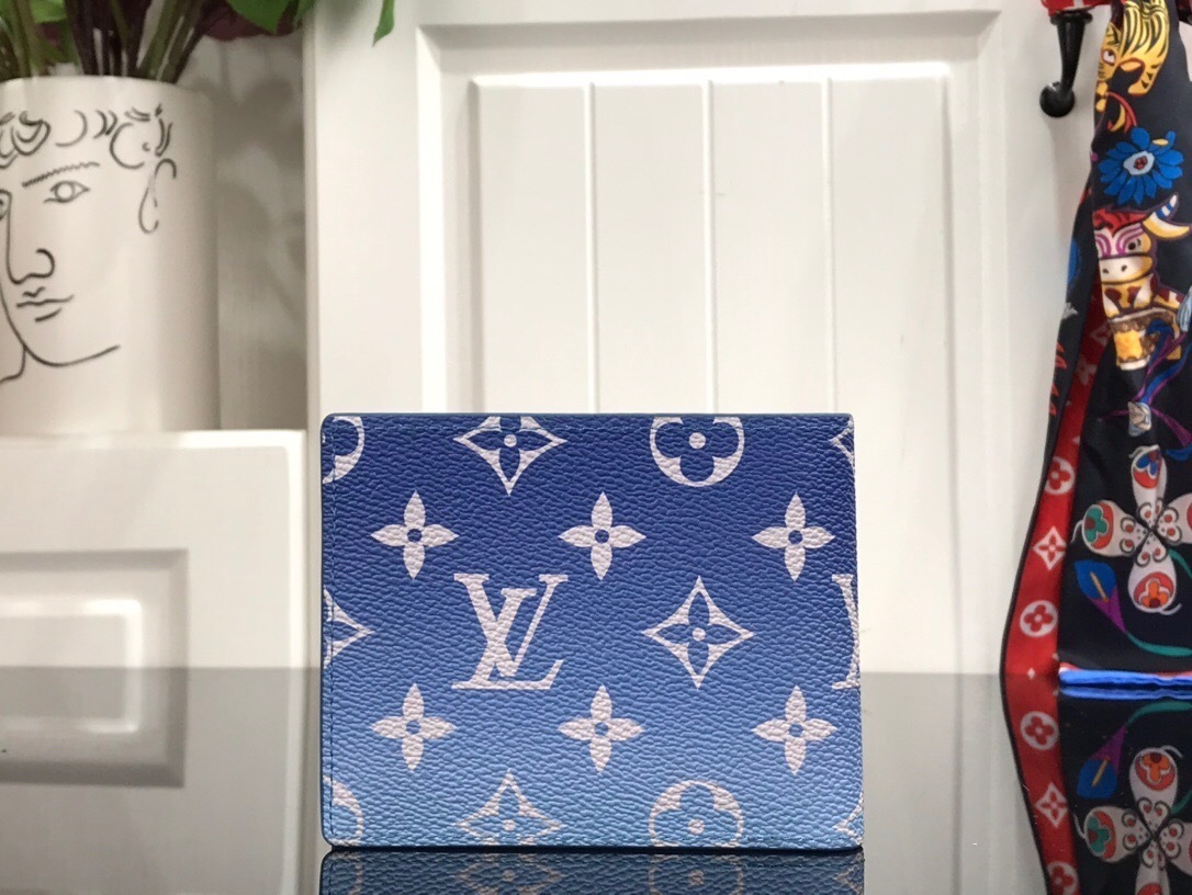 LV MULTIPLE wallet M60895LT