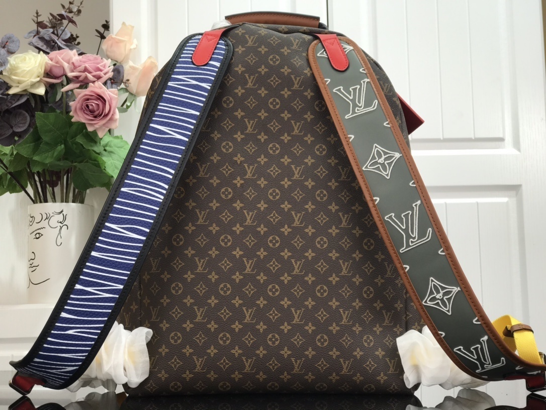 LV MULTIPOCKET BACKPACK M45455 