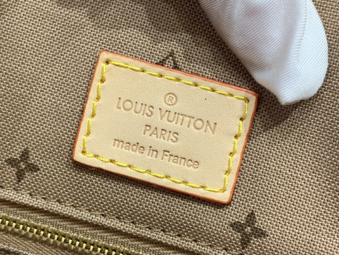 LV ONTHEGO MM M46154