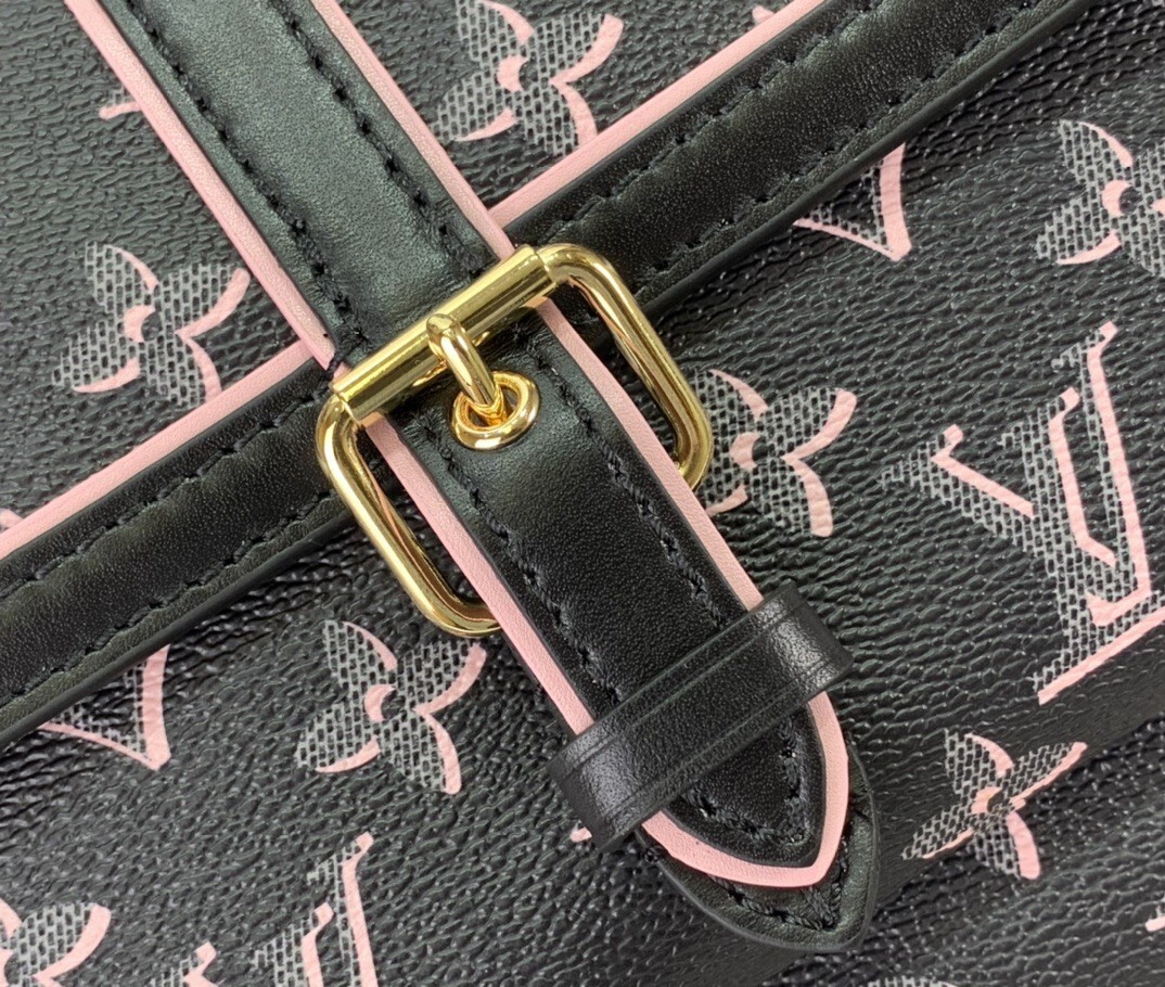 LV ONTHEGO MM M46154