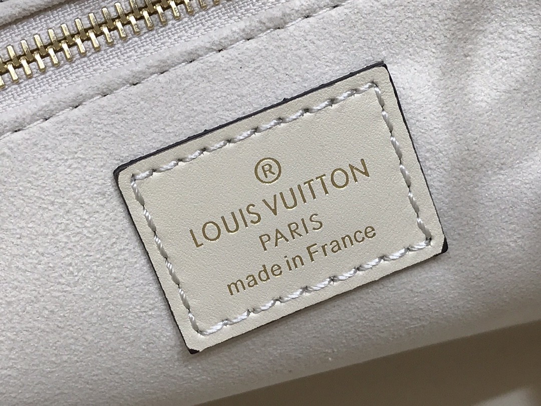 LV ONTHEGO PM M45659