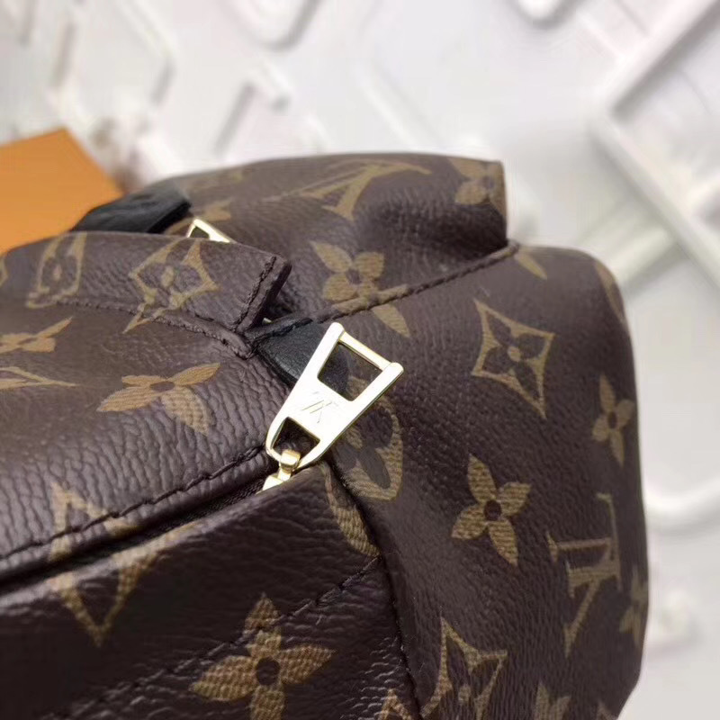 LV PALM SPRINGS MINI M41562