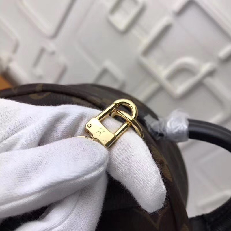 LV PALM SPRINGS MINI M41562