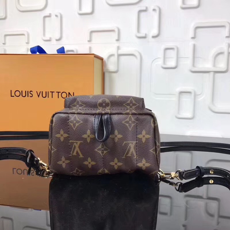 LV PALM SPRINGS MINI M41562