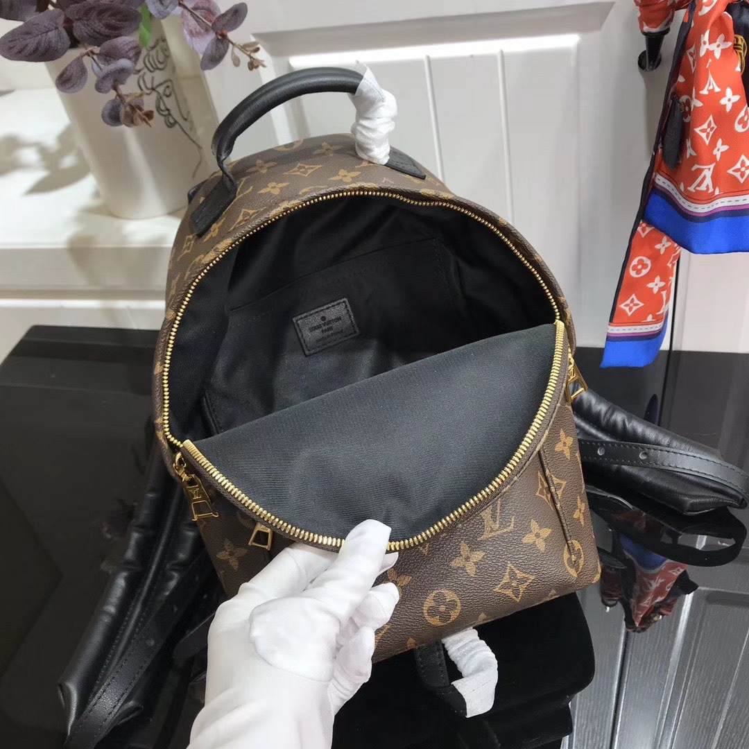 LV PALM SPRINGS MINI M41562