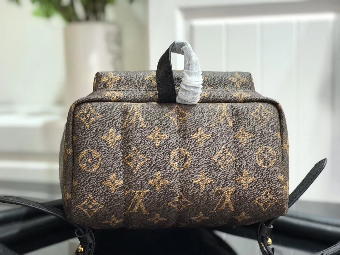 LV PALM SPRINGS MINI M41562