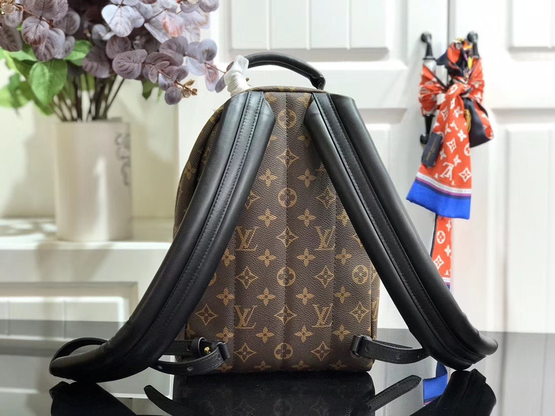 LV PALM SPRINGS MINI M41562