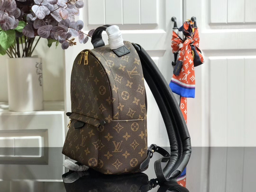 LV PALM SPRINGS MINI M41562