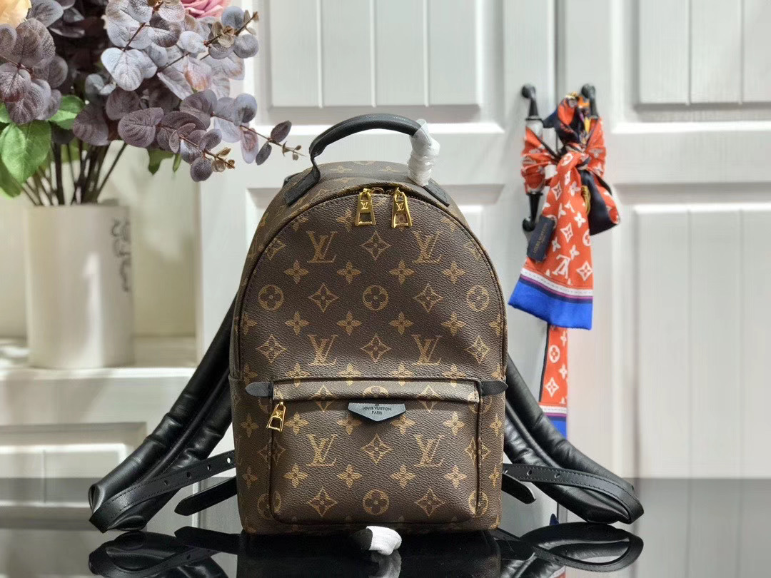 LV PALM SPRINGS MINI M41562
