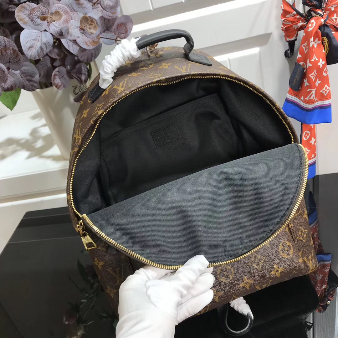 LV PALM SPRINGS MINI M41562