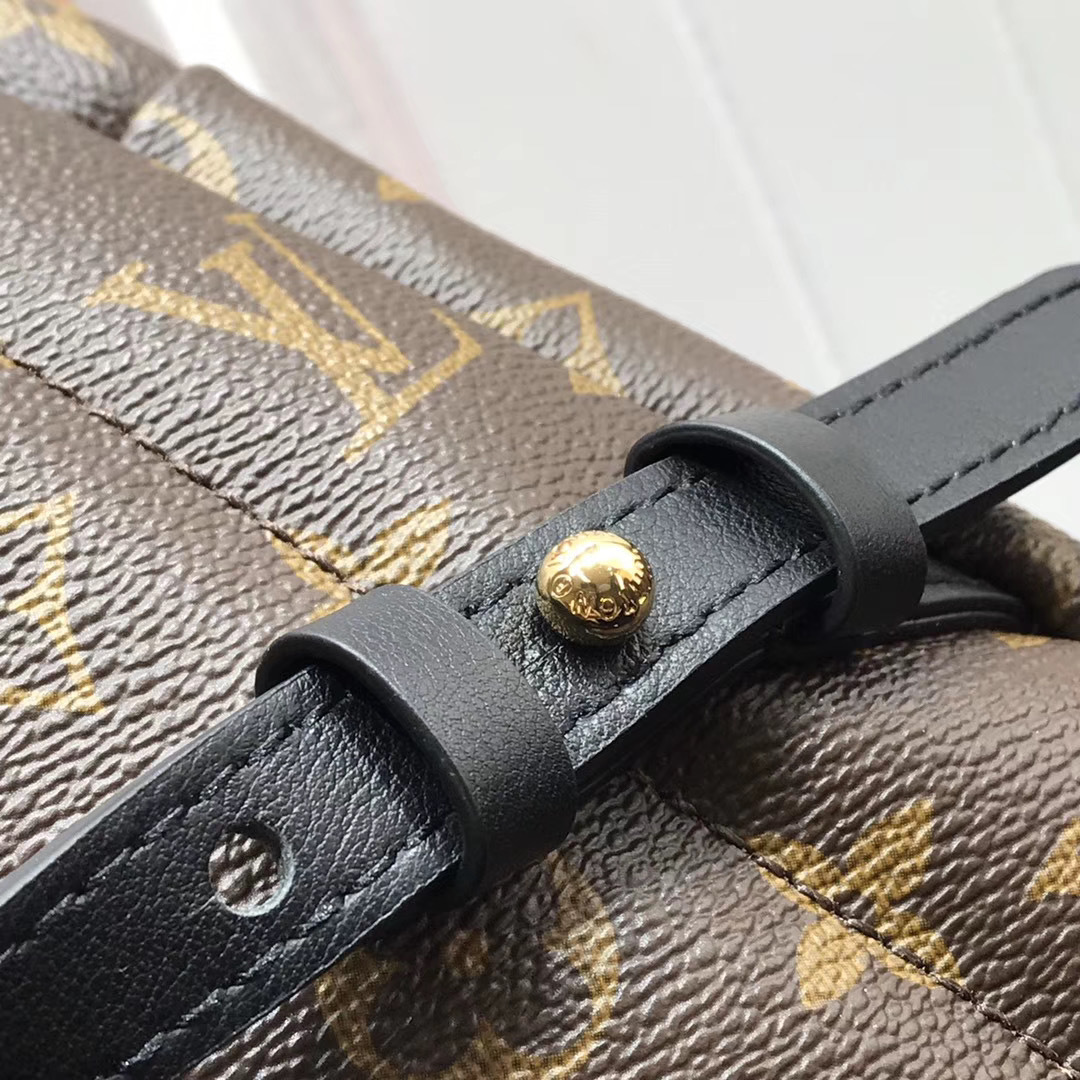 LV PALM SPRINGS MINI M41562