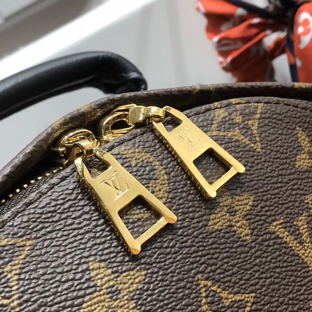 LV PALM SPRINGS MINI M41562