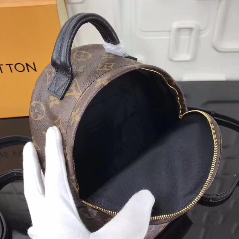 LV PALM SPRINGS MINI M41562