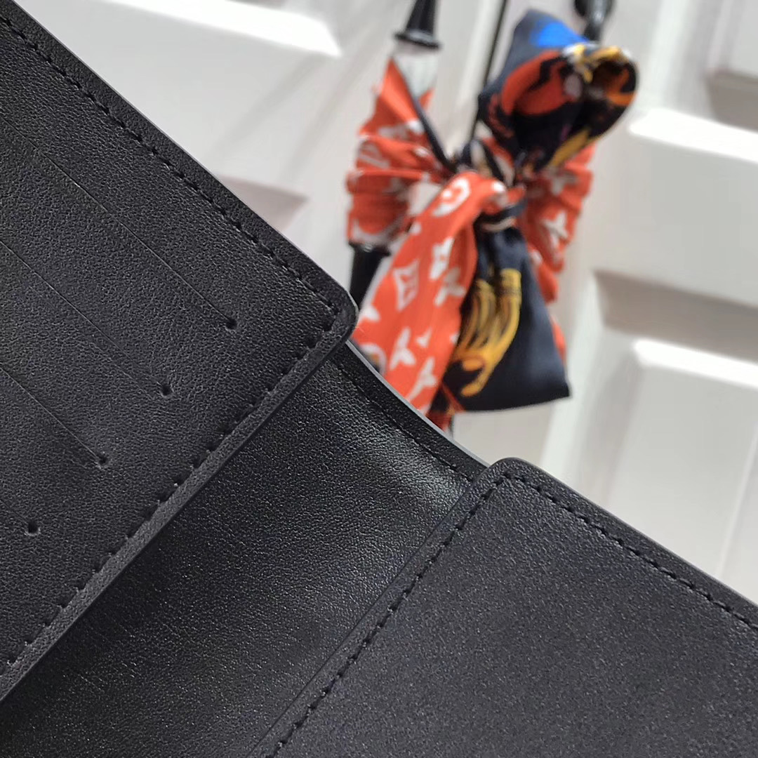 LV PASSPORT COVER M62089 