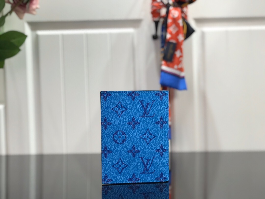 LV PASSPORT COVER M64502 