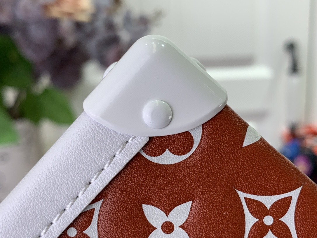 LV PETITE MALLE M20764 