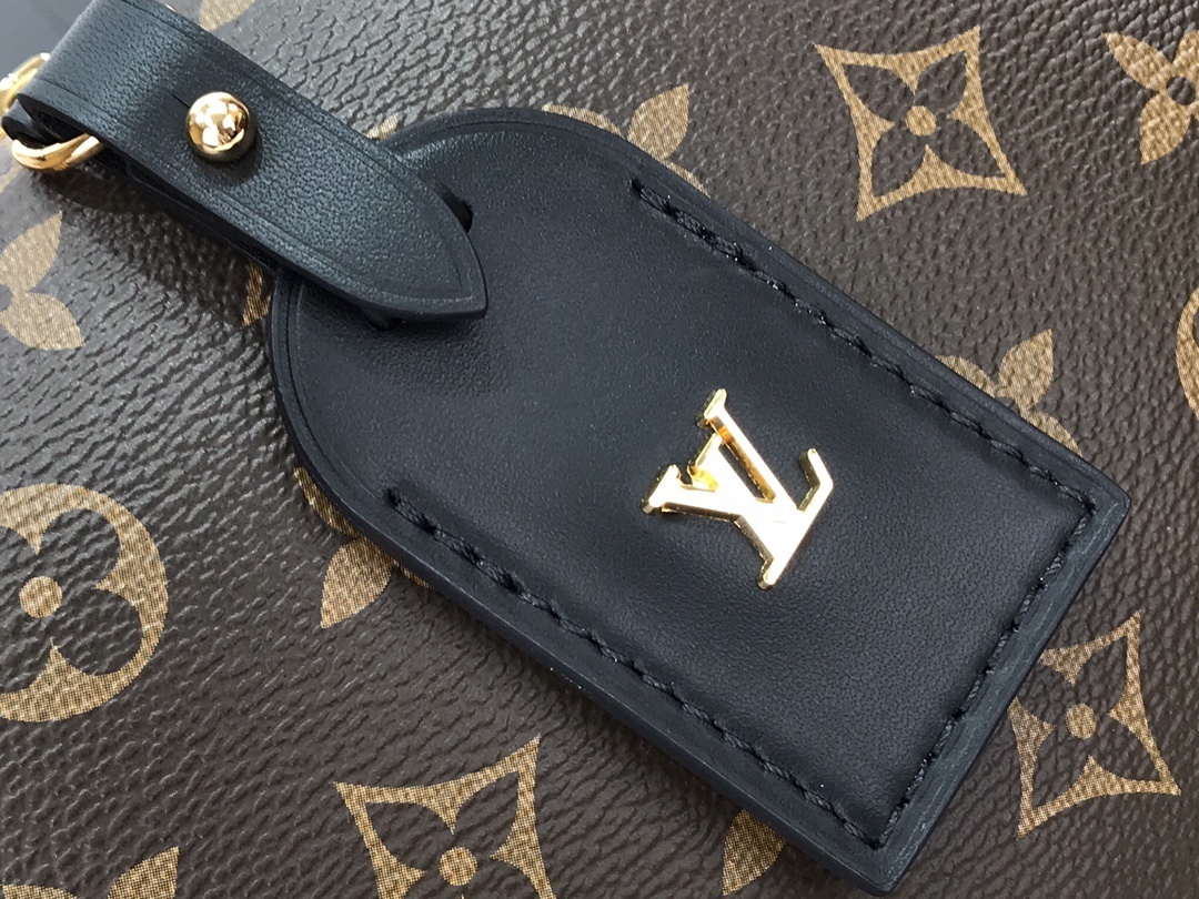 LV PETITE MALLE SOUPLE M45571 