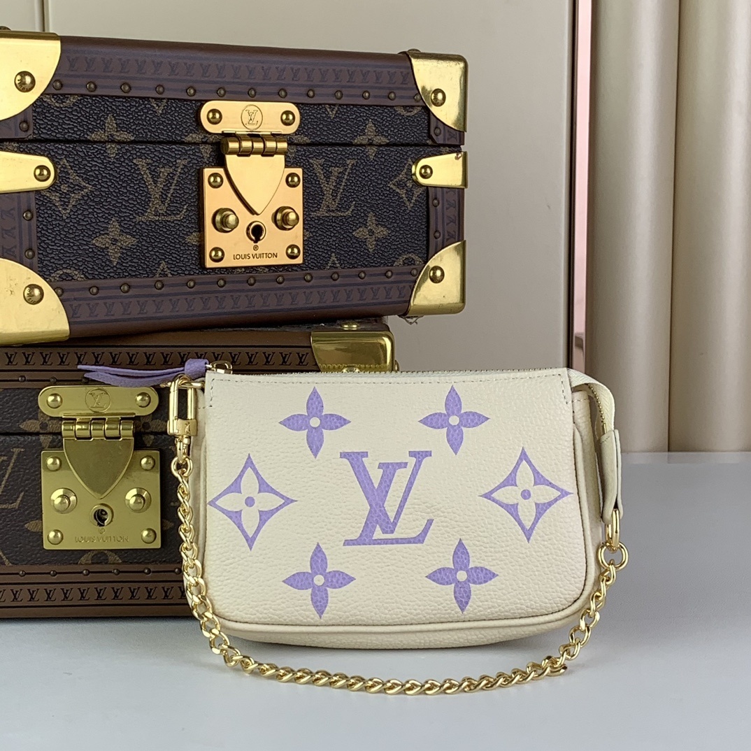 LV Pochette Accessoires 4106U 