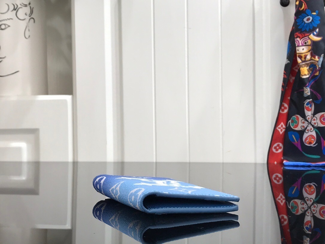 LV POCKET ORGANIZER M61696LT