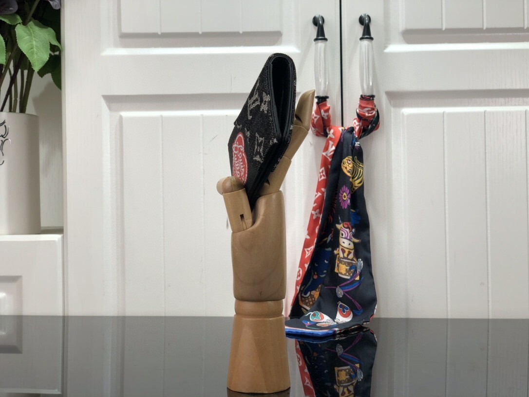 LV POCKET ORGANIZER M81015 