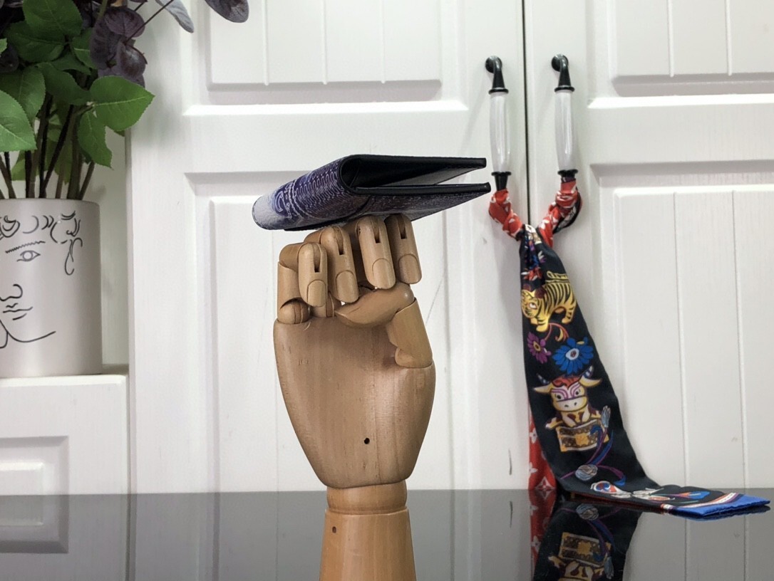 LV POCKET ORGANIZER M81413