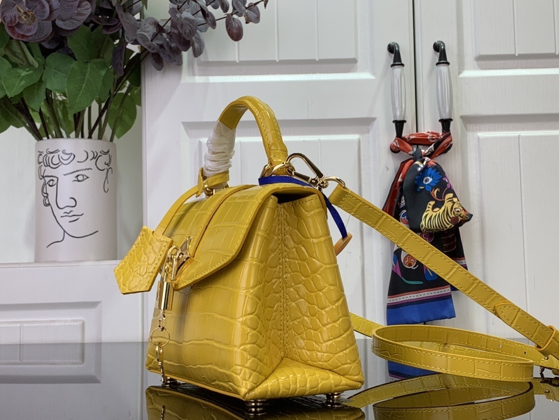 LV ROSE DES VENTS mini  N84713 