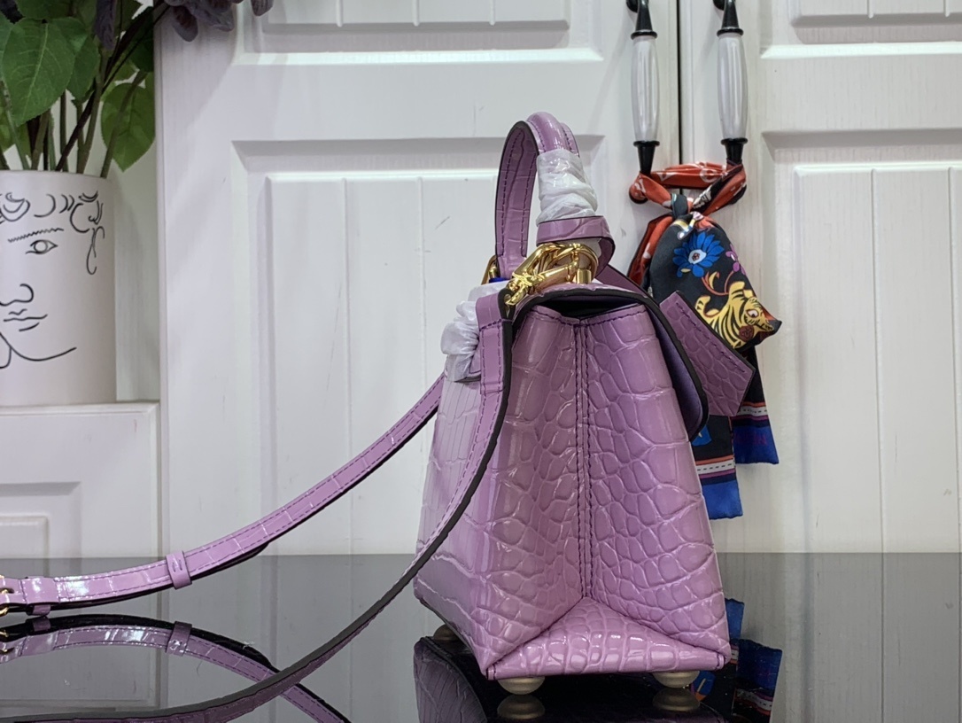 LV ROSE DES VENTS mini  N84713 