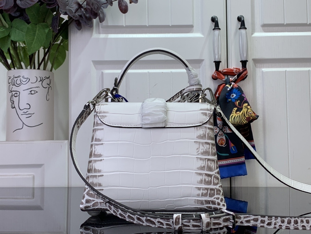 LV ROSE DES VENTS mini  N84713 