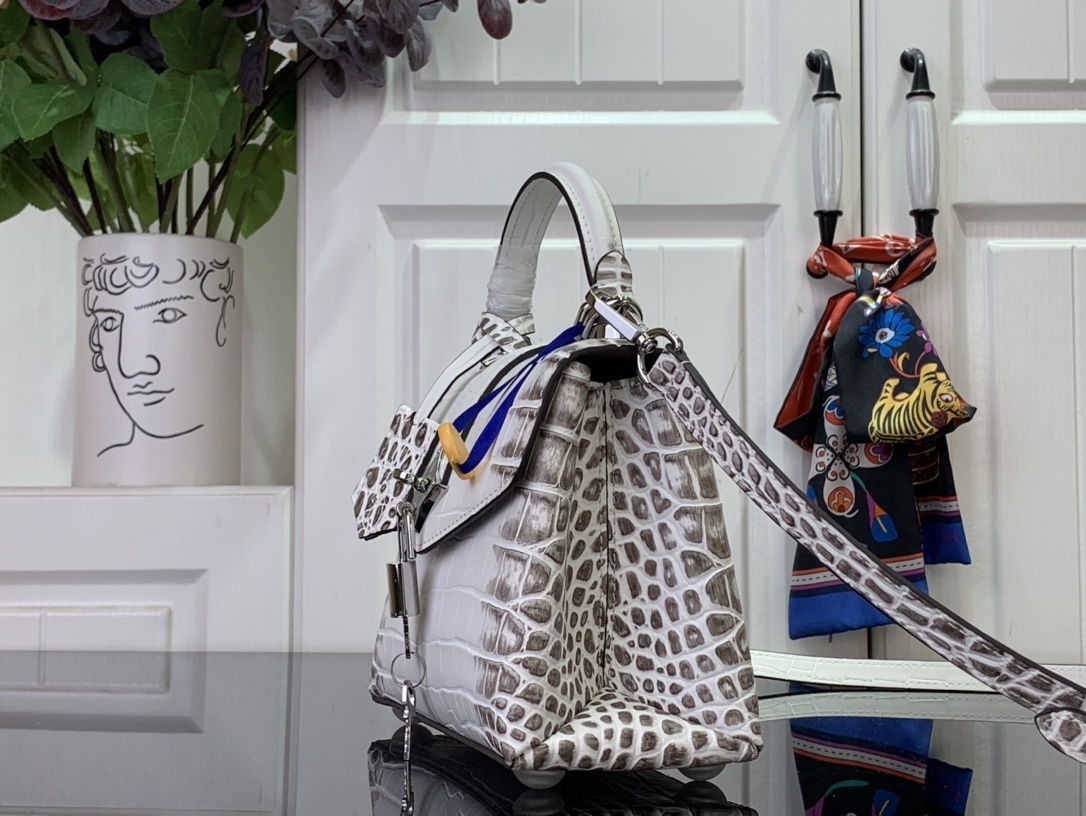 LV ROSE DES VENTS mini  N84713 