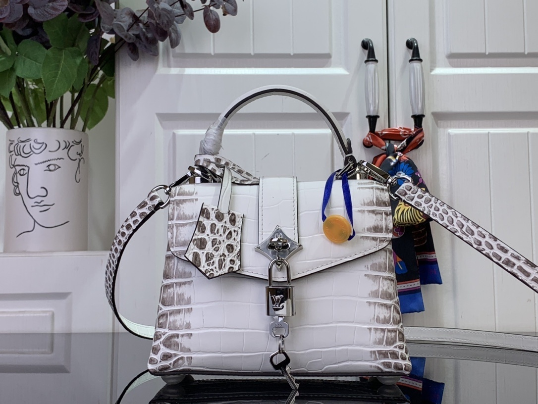 LV ROSE DES VENTS mini  N84713 