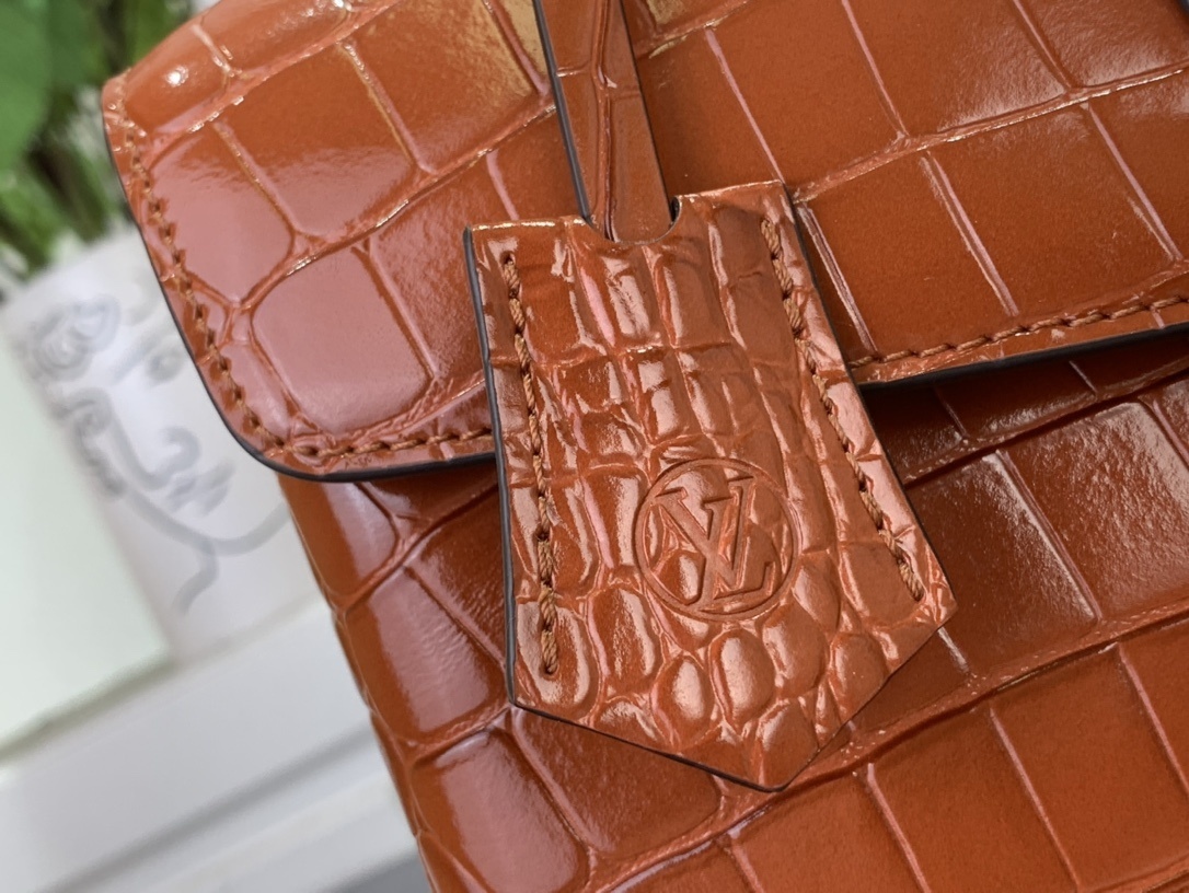 LV ROSE DES VENTS mini  N84713 