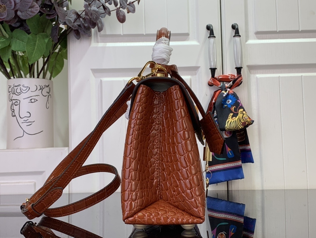 LV ROSE DES VENTS mini  N84713 