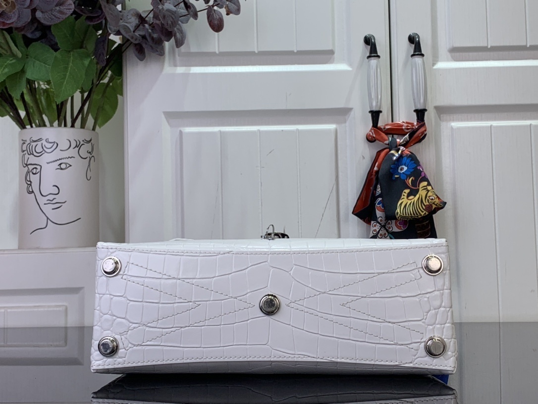 LV ROSE DES VENTS mini  N84713 