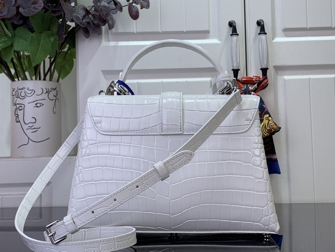 LV ROSE DES VENTS mini  N84713 