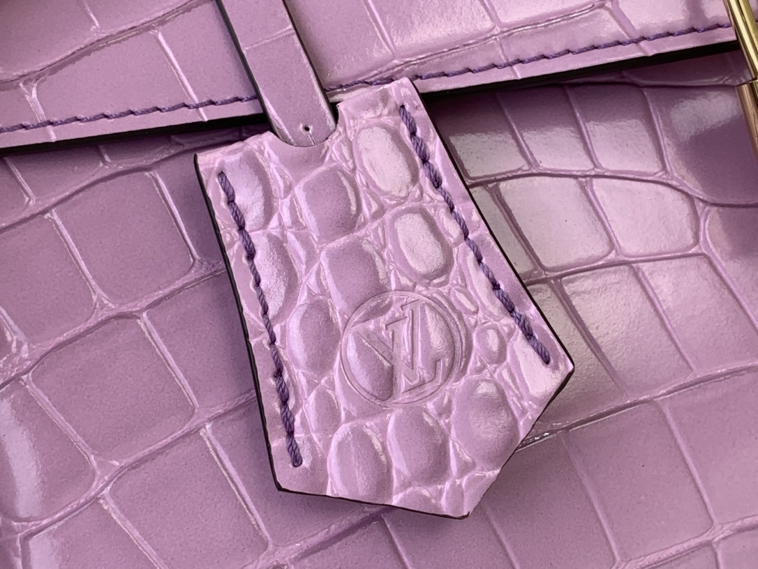 LV ROSE DES VENTS mini  N84713 