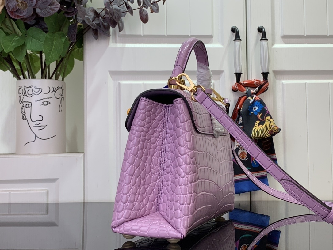 LV ROSE DES VENTS mini  N84713 