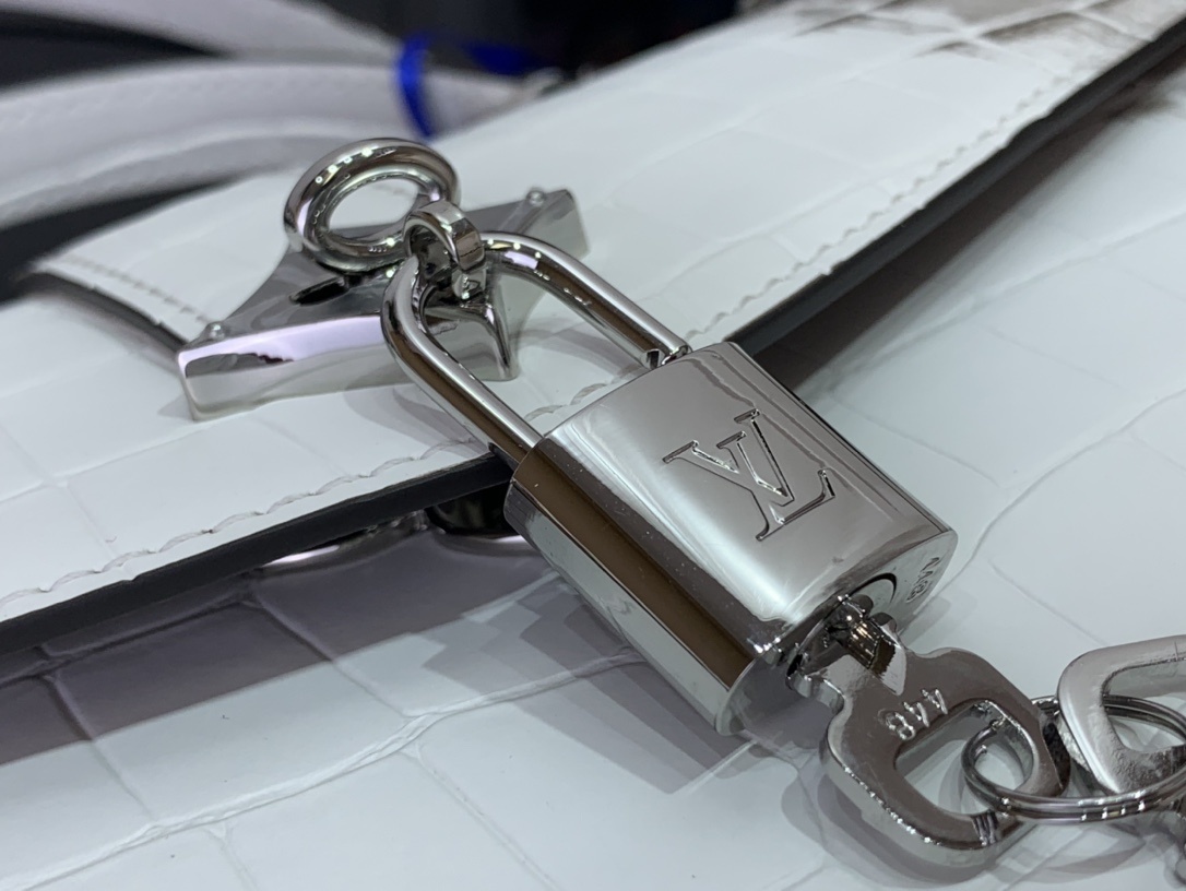 LV ROSE DES VENTS mini  N84713 