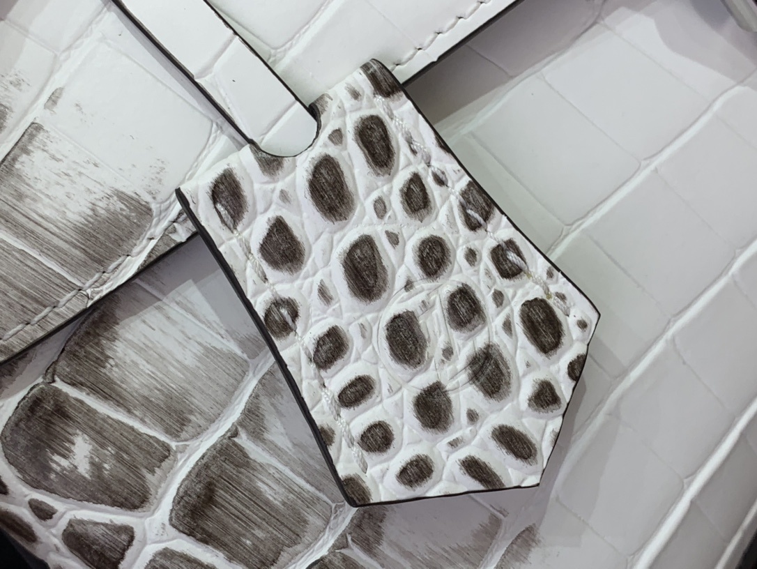 LV ROSE DES VENTS mini  N84713 