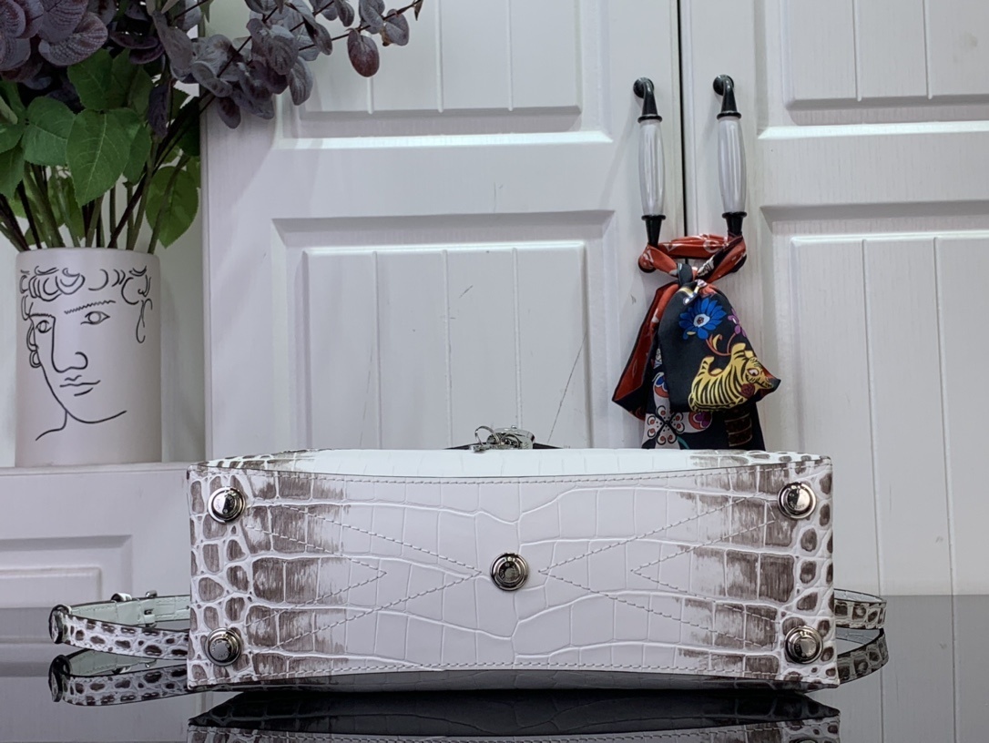 LV ROSE DES VENTS mini  N84713 