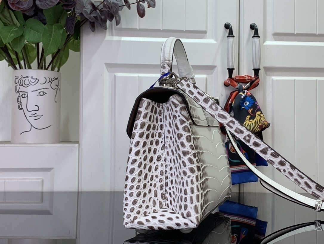 LV ROSE DES VENTS mini  N84713 